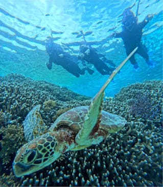 宮古島 ADVENTURE PiPi（ミヤコジマ アドベンチャー ピピ）に投稿された画像（2024/2/16）