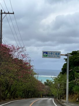 今帰仁城跡に投稿された画像（2024/2/16）