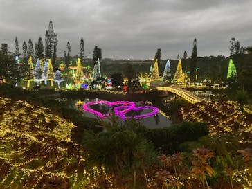 美らヤシパークオキナワ・東南植物楽園に投稿された画像（2024/2/16）