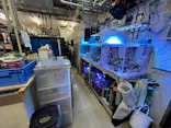 サンシャイン水族館に投稿された画像（2024/2/17）