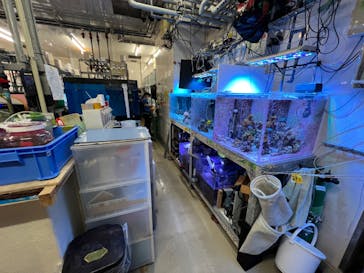 サンシャイン水族館に投稿された画像（2024/2/16）