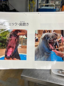サンシャイン水族館に投稿された画像（2024/2/16）