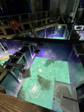 サンシャイン水族館に投稿された画像（2024/2/16）