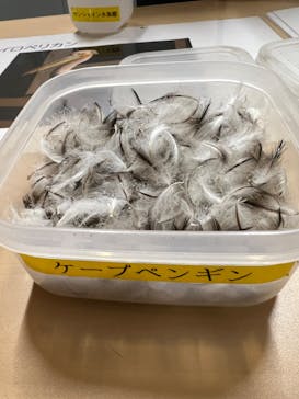 サンシャイン水族館に投稿された画像（2024/2/16）