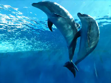 横浜・八景島シーパラダイスに投稿された画像（2024/2/16）