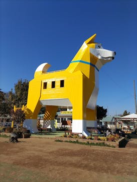 つくばわんわんランドに投稿された画像（2024/2/17）