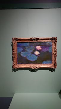 モネ　連作の情景に投稿された画像（2024/2/17）