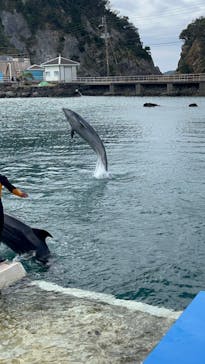 下田海中水族館に投稿された画像（2024/2/17）