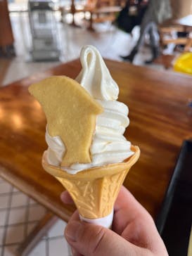 下田海中水族館に投稿された画像（2024/2/17）