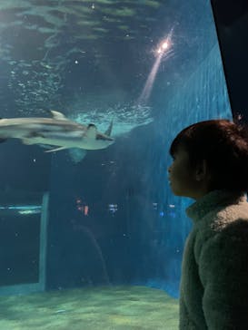 アクアワールド茨城県大洗水族館に投稿された画像（2024/2/17）