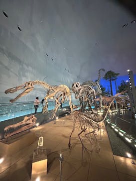 福井県立恐竜博物館に投稿された画像（2024/2/17）