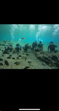 武藤潜水に投稿された画像（2024/2/17）