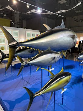 特別展「和食 ～日本の自然、人々の知恵～」に投稿された画像（2024/2/16）