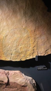 国立科学博物館に投稿された画像（2024/2/17）