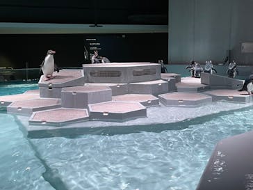 AOAO SAPPOROに投稿された画像（2024/2/17）