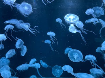 AOAO SAPPOROに投稿された画像（2024/2/17）