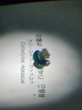 NIFREL（ニフレル）に投稿された画像（2024/2/17）