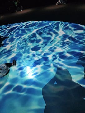 NIFREL（ニフレル）に投稿された画像（2024/2/17）