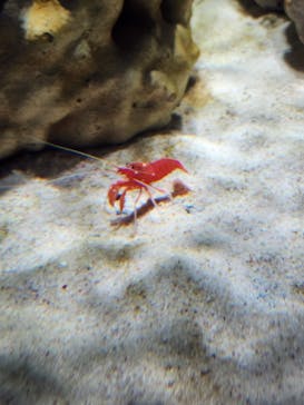 NIFREL（ニフレル）に投稿された画像（2024/2/17）