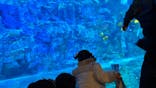 大分マリーンパレス水族館 「うみたまご」に投稿された画像（2024/2/17）