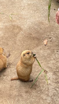 伊豆シャボテン動物公園に投稿された画像（2024/2/17）