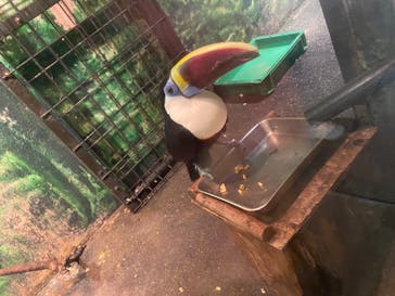 伊豆シャボテン動物公園に投稿された画像（2024/2/17）