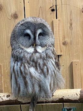 伊豆シャボテン動物公園に投稿された画像（2024/2/17）