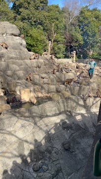 千葉市動物公園に投稿された画像（2024/2/17）