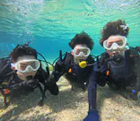 武藤潜水に投稿された画像（2024/2/17）