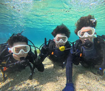 武藤潜水に投稿された画像（2024/2/17）