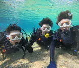 武藤潜水に投稿された画像（2024/2/17）