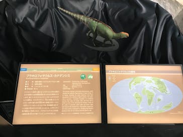 福井県立恐竜博物館に投稿された画像（2024/2/17）