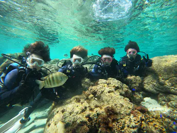 武藤潜水に投稿された画像（2024/2/17）