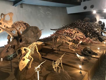 福井県立恐竜博物館に投稿された画像（2024/2/17）