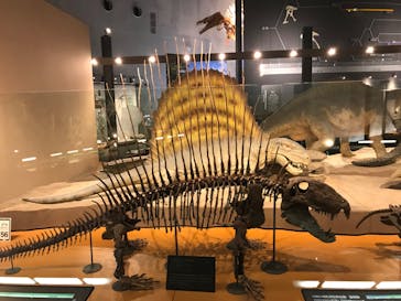 福井県立恐竜博物館に投稿された画像（2024/2/17）