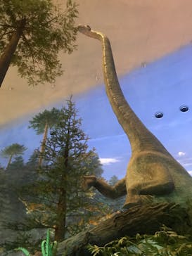 福井県立恐竜博物館に投稿された画像（2024/2/17）