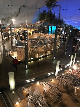 福井県立恐竜博物館に投稿された画像（2024/2/17）