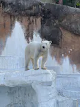 天王寺動物園に投稿された画像（2024/2/17）
