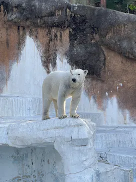 天王寺動物園に投稿された画像（2024/2/17）