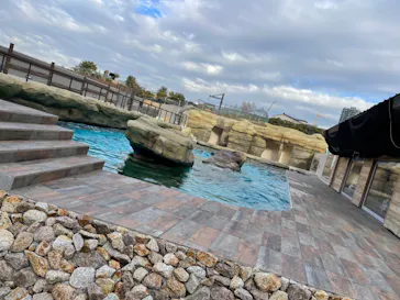 天王寺動物園に投稿された画像（2024/2/17）