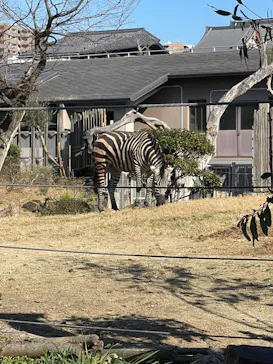 天王寺動物園に投稿された画像（2024/2/17）