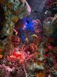 サンシャイン水族館に投稿された画像（2024/2/17）