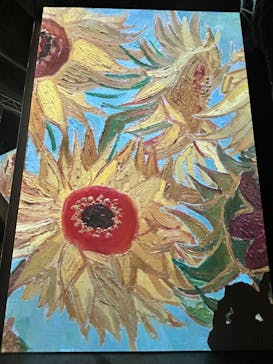 ゴッホ・アライブに投稿された画像（2024/2/17）