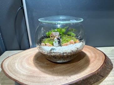 Terrariums メトロ・エム後楽園店に投稿された画像（2024/2/17）