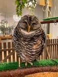 Moff animal cafe イオンモール幕張新都心店に投稿された画像（2024/2/17）