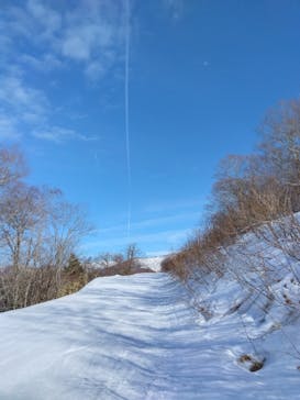 黒伏高原スノーパーク ジャングル・ジャングルに投稿された画像（2024/2/17）