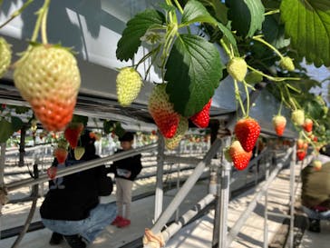 株式会社こまち野に投稿された画像（2024/2/17）