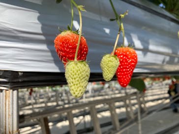 株式会社こまち野に投稿された画像（2024/2/17）