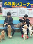 IPCわんわん動物園に投稿された画像（2024/2/17）