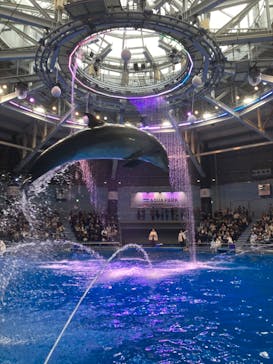 マクセル アクアパーク品川に投稿された画像（2024/2/17）